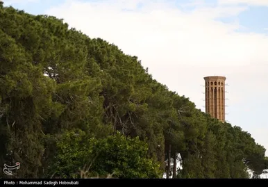ایران زیباست | باغ دولت آباد یزد