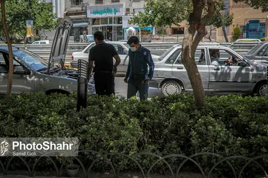 گرمای هوا در مشهد