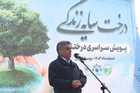 عرضه نهال زیر قیمت بازار مشهد در غرفه&zwnj;های خدمات شهری، از ۱۵ اسفند ۱۴۰۳
