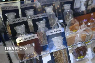 افتتاحیه سی‌امین کنفرانس ملی هسته‌ای ایران و اولین کنفرانس بین‌المللی علوم و فنون هسته‌ای ۲۰۲۴
