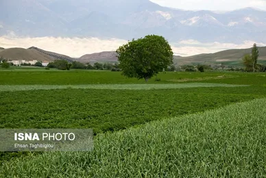 ایران زیباست | طبیعت بهاری «طارُم»، هندوستان ایران