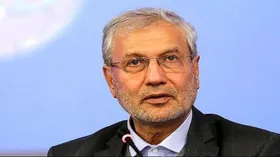 دستیار اجتماعی رئیس&zwnj;جمهور: دولت برای حل مشکلات کشور، راهی جز استفاده از سمن&zwnj;ها ندارد