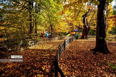 ایران زیباست | پاییز در جنگل‌های هیرکانی