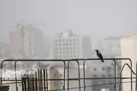 هوای کلانشهر مشهد امروز هم آلوده است (۱۰ مهر ۱۴۰۳)