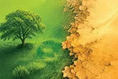 سرعت گیر بودجه برای بیابان زدایی | تخصیص فقط ۱۷/۵ درصد از بودجه مصوب پروژه‌های بیابان زدایی در سال ۱۴۰۴