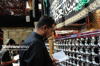اربعین حسینی در کربلای معلی