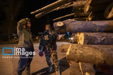 گزارش تصویری | قاچاق چوب