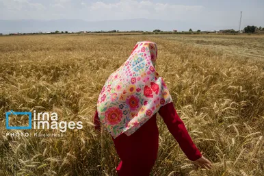 گزارش تصویری | تحصیل در باغ خانه معلم