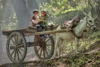 تولید فیلم سینمایی «روماک» در ژانر کودک و نوجوان آغاز شد | قصه‌ای کودکانه در دهه ۵۰