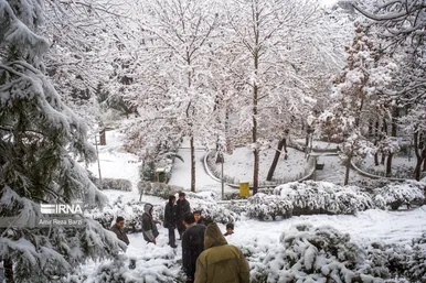 عکس‌هایی از برف سال ۱۳۴۲
