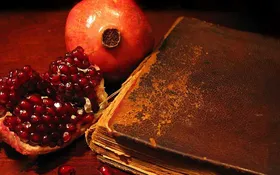 نذر مهربانی، میزبان همدلی مشهدی&zwnj;ها در شب یلدا