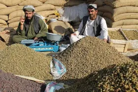ورود کشمش از افغانستان ممنوع است