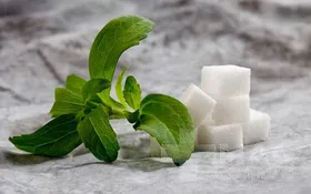 استویا، تنها قند مناسب دیابتی&zwnj;ها
