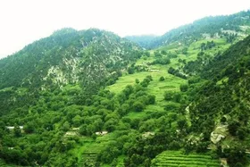 ویدئو | ولایت زیبای نورستان در شرق افغانستان