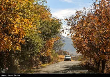 ایران زیباست | پاییز رنگارنگ کردستان