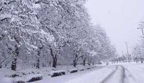 هفته ای برفی پیش روی استان های کشور
