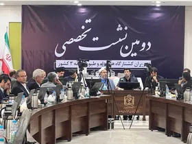 سرپرست وزارت جهاد کشاورزی: دخالتی در تعیین قیمت مرغ نداشتیم | اجازه صادرات دام زنده را نمی&zwnj;دهیم