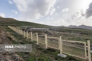 اژدهای ایلخانی