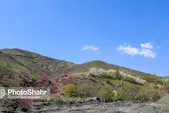 وزش باد شدید در خراسان رضوی همچنان ادامه دارد | ماندگاری هوای گرم در استان (١٩ فروردین‌ماه ١۴٠٢) 