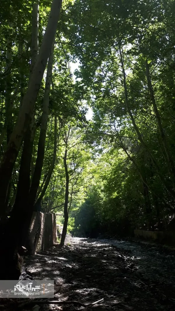 شهروند خبرنگار | خودنمایی پاییز در روستای مایان طرقبه