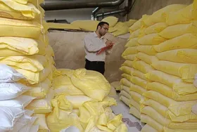 تشکیل ۲۴۱ پرونده تخلف در محصولات کشاورزی مشهد