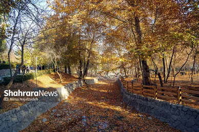طبیعت پاییزی بوستان های مشهد