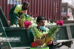 مشهد با نصب نماد‌ها و نشانه‌های هنری برای نوروز ۱۴۰۰ آماده می‌شود + تصاویر