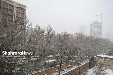 گزارش تصویری | بارش برف در مشهد (۲۱ بهمن ۱۴۰۳)