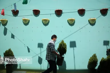 کوچه‌های رنگی