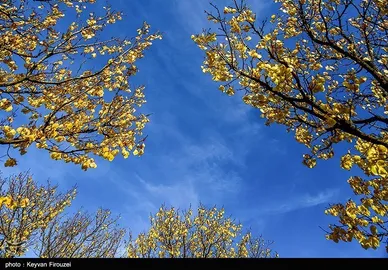 ایران زیباست | پاییز رنگارنگ کردستان