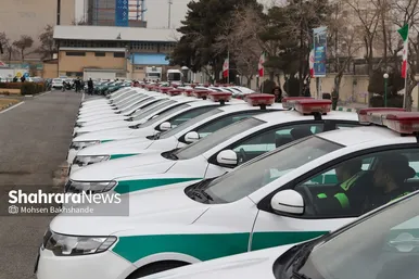 آغاز طرح تشدید مبارزه با سرقت