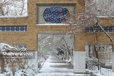 گزارش تصویری | بارش برف در مشهد (۲۱ بهمن ۱۴۰۳)