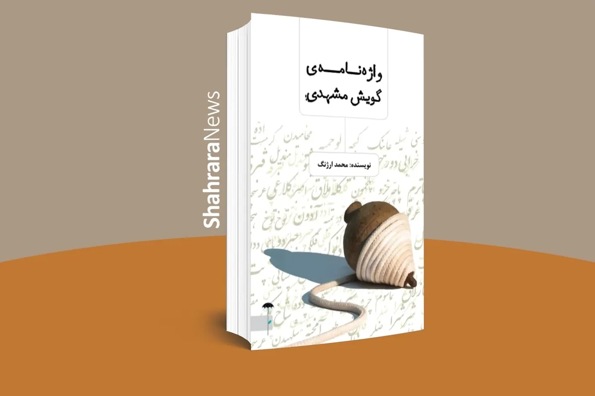 انتشار تحقیقی جدید دربارهٔ گویش مشهدی