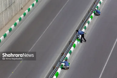 شهر تکانی در مشهدالرضا