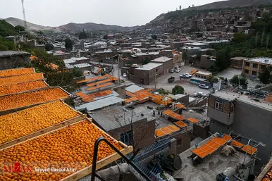 بام‌های طلایی خرو