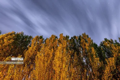 آسمان سحر انگیز شب