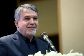 صالحی امیری: تبادل گردشگر میان ایران و مصر در آینده&zwnj; نزدیک آغاز می&zwnj;شود