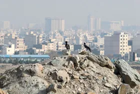 پیش&zwnj;بینی هواشناسی مشهد و خراسان رضوی (پنجشنبه، ۶ دی ۱۴۰۳) | بهبود کیفیت هوا از اوایل هفته آینده