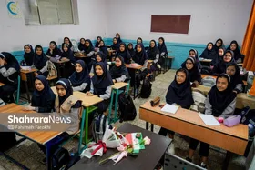 لزوم ارتقای هم&zwnj;افزایی نهاد&zwnj;های فرهنگی برای اثرگذاری بیشتر بر کودکان و نوجوانان در مدارس