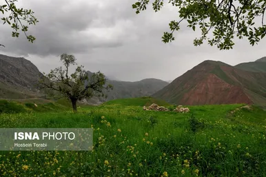ایران زیباست | طبیعت بهاری چهارمحال و بختیاری