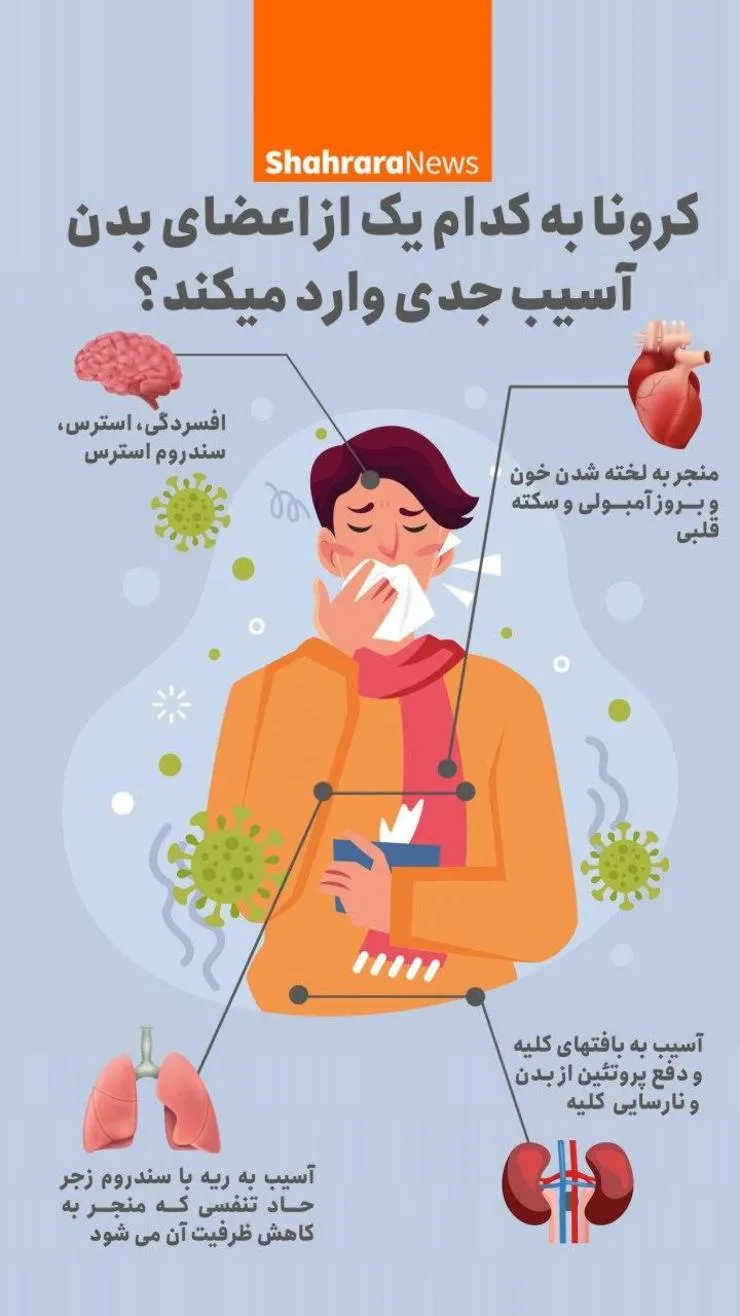 اینفوگرافی| کرونا به کدام اندام‌ها آسیب جدی میزند؟