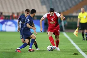 گربه سیاه گل&zwnj;گهر آماده شد