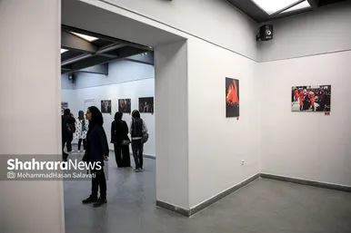 نمایشگاه عکس 
