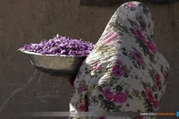 تعهد ارزی صادر کننده حتی به قیمت افزایش قاچاق زعفران بی کیفیت