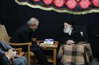 دیدار پزشکیان و آیت الله شبیری زنجانی در قم | رئیس جمهور: ۶ میلیارد دلار از منابع ایران بازگردانده می‌شود