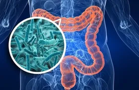 افزایش میکروبیوم روده به چاقی و دیابت کمک می&zwnj;کند