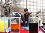 کابل در نوروز