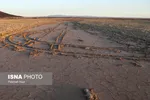 نفس‌های تالاب بین‌المللی «گاوخونی» به شماره افتاد + عکس