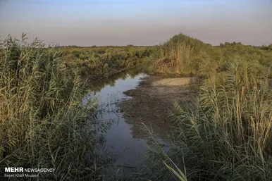 مرگ هورالعظیم