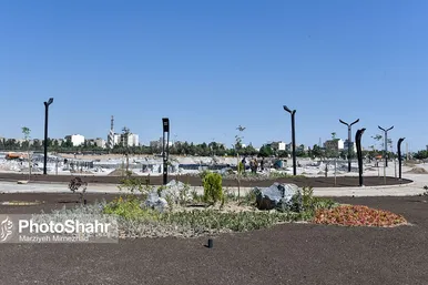 مشهد بر مدار عمران - پروژه کشت پارک
